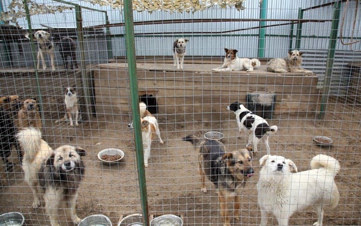 Фото: resbash.ru