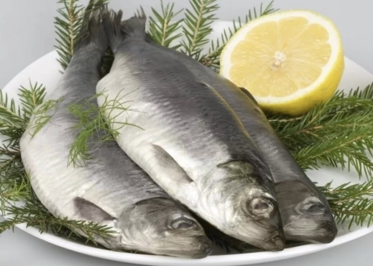 Рыба сельдь. Сельдь слабосоленая весовая. Селедка соленая. Сельдь микроэлементы. Сельдь химический состав.