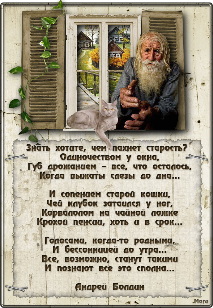 Старость от какого слова. Стихи про старость. Афоризмы про старость. Высказывания о стариках. Стихи о возрасте