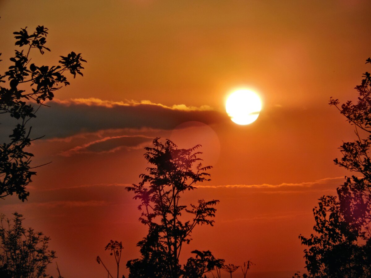 я иду искать сериал 2021.