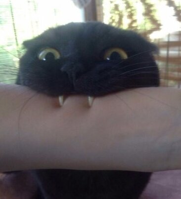 Фото: соцсети