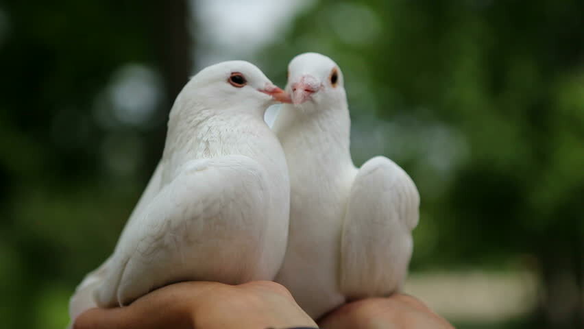 Источник фото: shutterstock.com