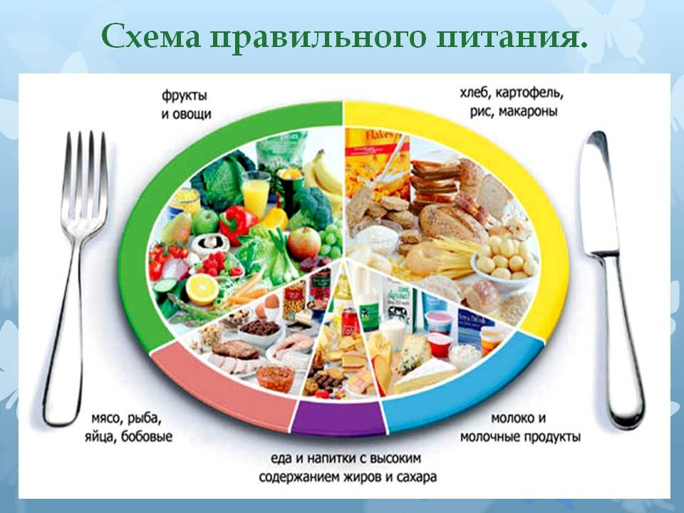 Тарелка сбалансированного питания картинка