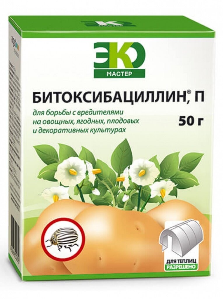 фото Яндекс.Картинки