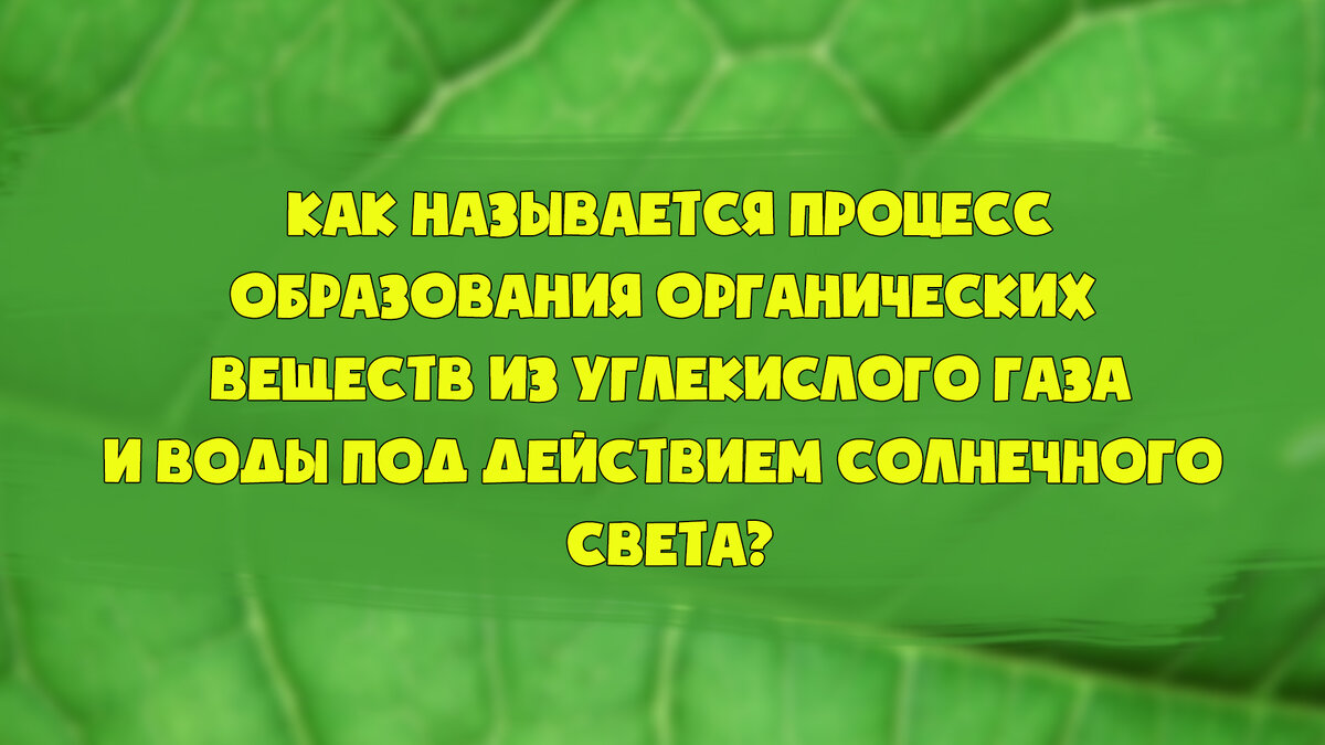 Пролистни фотографию, чтобы узнать правильный ответ →