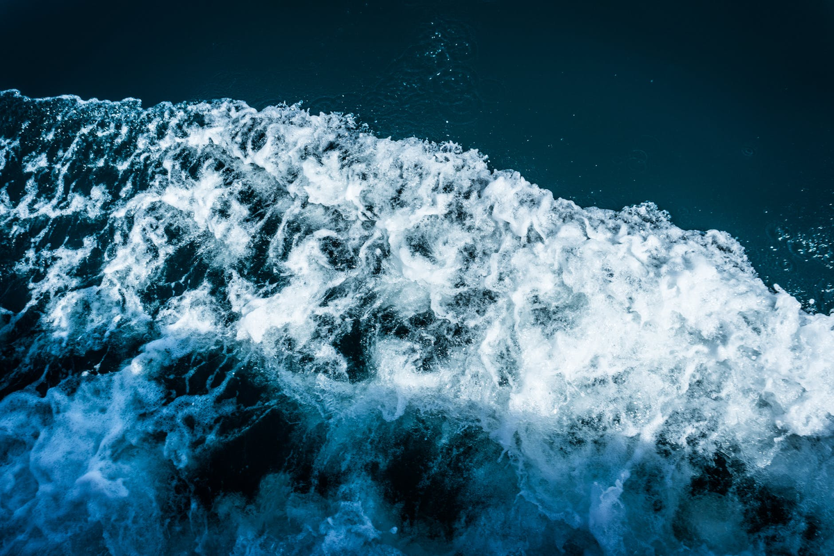 https://images.pexels.com/photos/286588/pexels-photo-286588.jpeg?auto=compress&cs=tinysrgb&dpr=2&h=650&w=940
