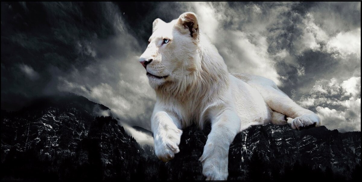 Гороскоп для Львов на завтра