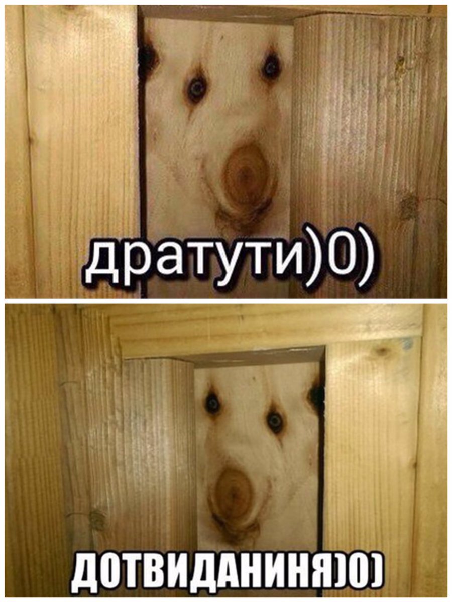 Дратуте картинки