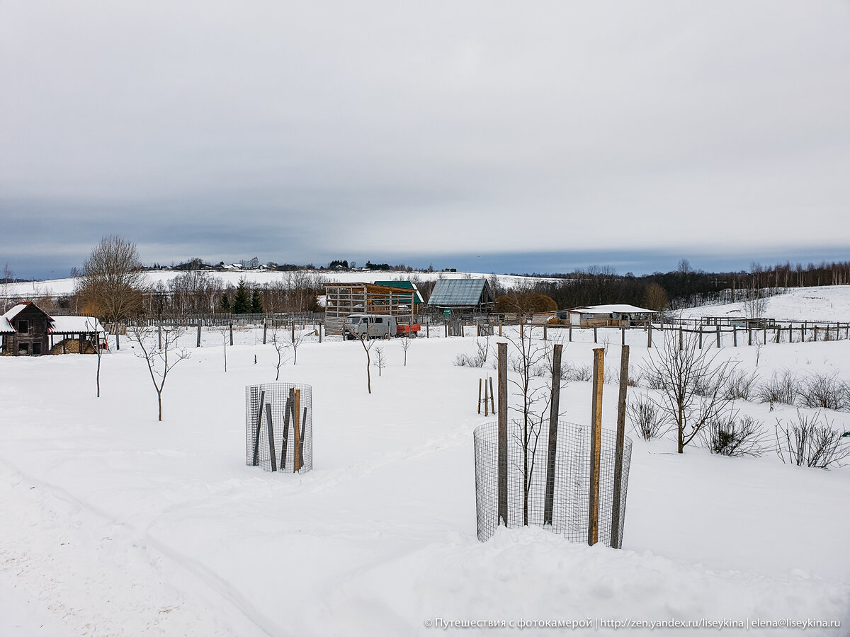 ? Морские контейнеры и благородная плесень. Как делают элитный сыр в Российской провинции