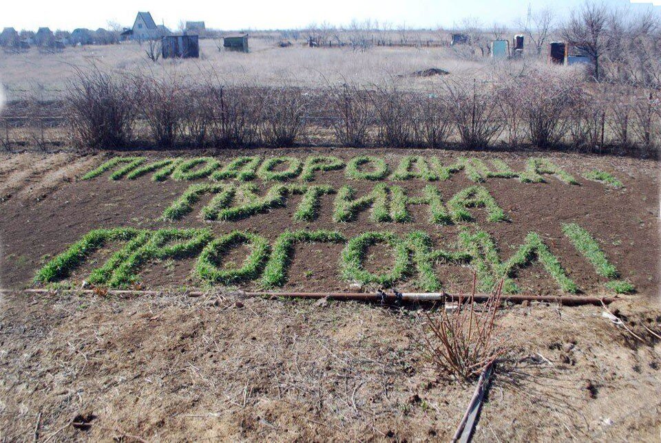 Сажаем картошку картинки с юмором