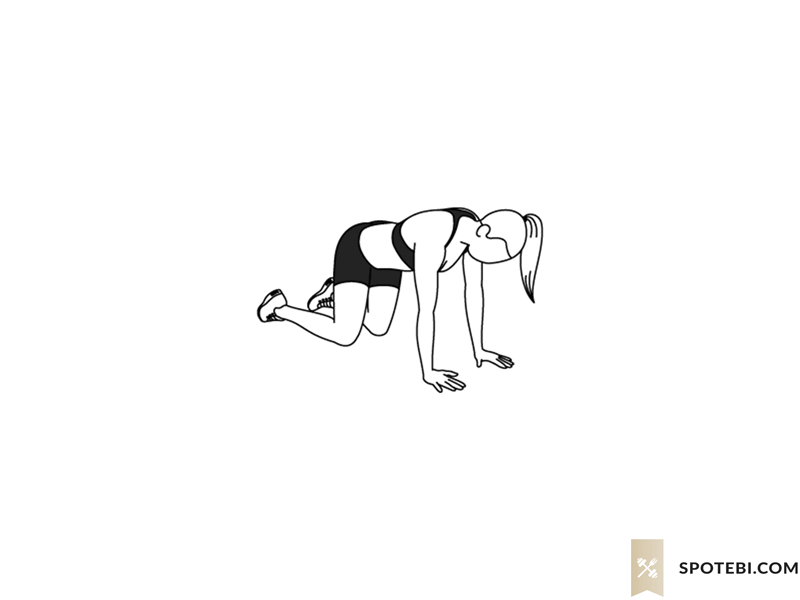Из положения планки встаньте на колени и руки и одновременно вытяните одну ногу и противоположную руку, сохраняя обе совершенно прямыми.  Задержитесь на мгновение, затем опустите их вниз и повторите то же самое с другой ногой и рукой. 