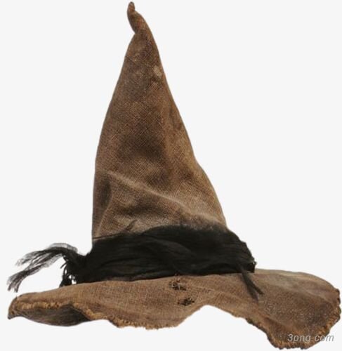 Item :: Sorcerer's Hat — Database Aion 