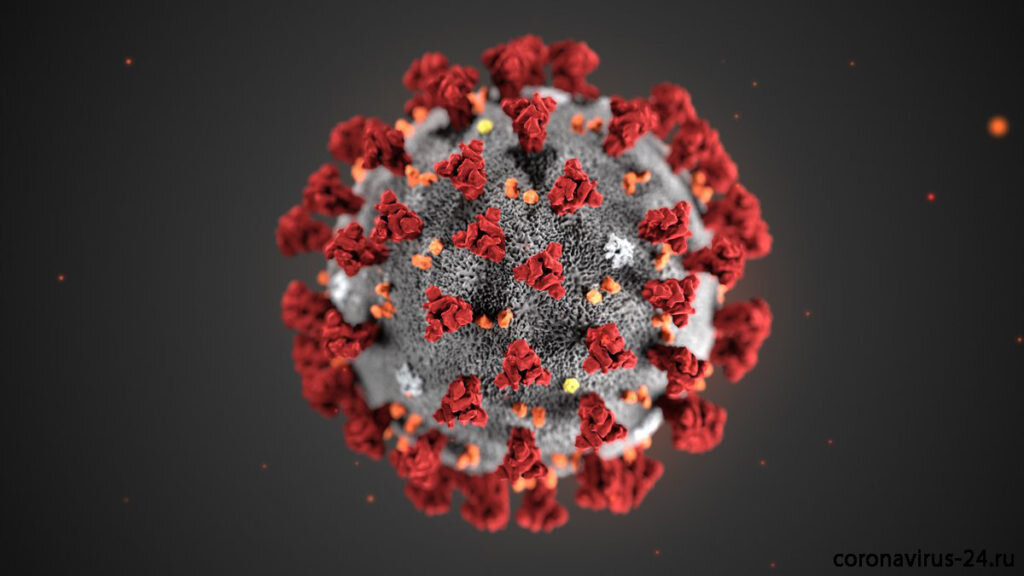 Материал взят с источника - https://coronavirus-24.ru/simptomy