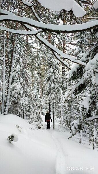 ok.ru/terrasiberica