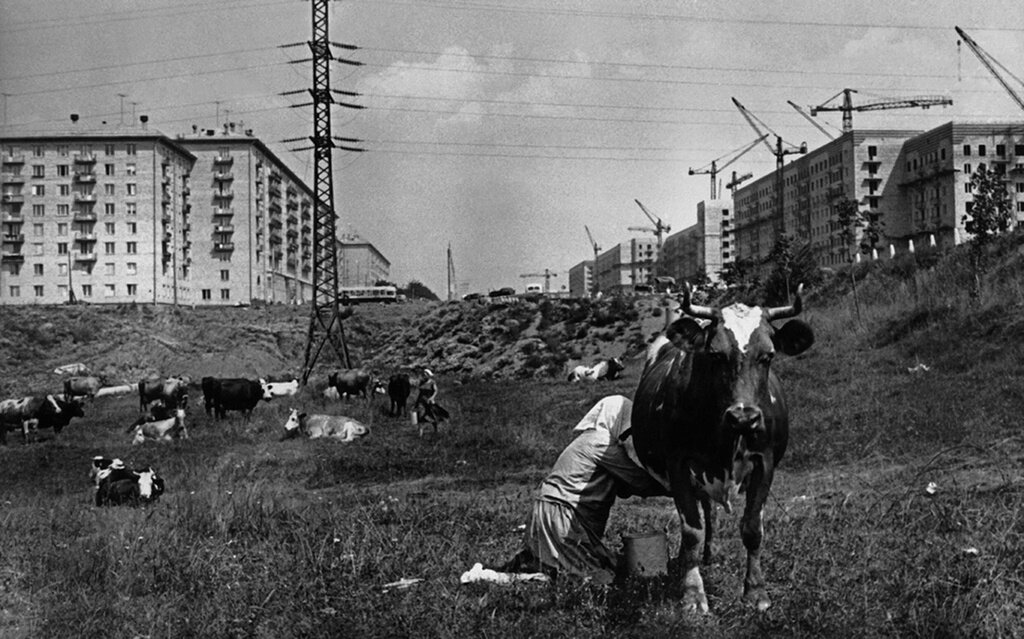 Москва строится
Лев Бородулин, 1954 год, г. Москва, Черемушки, МАММ/МДФ.