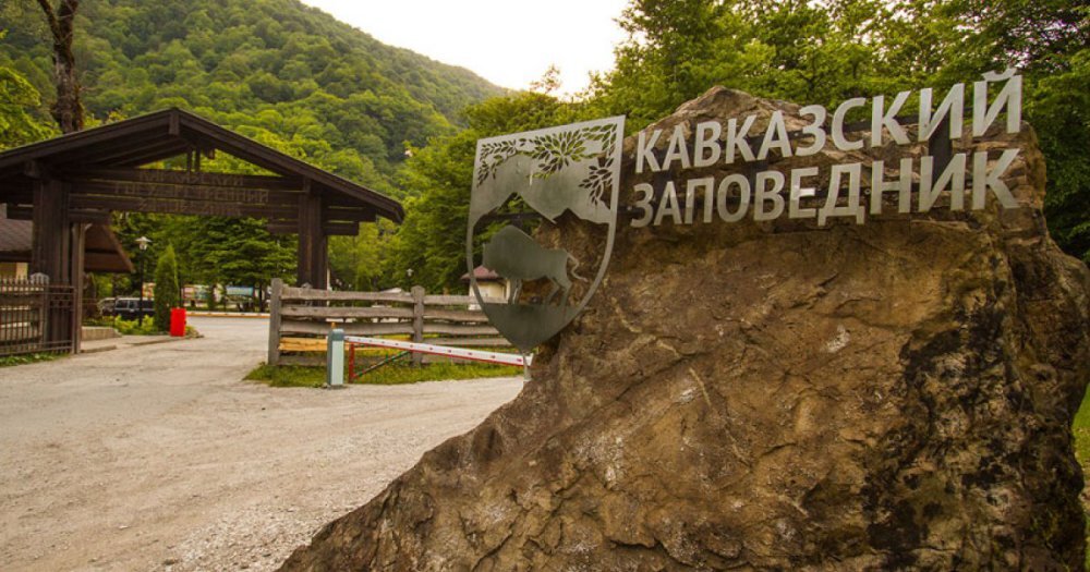 Кавказский государственный биосферный заповедник ледники