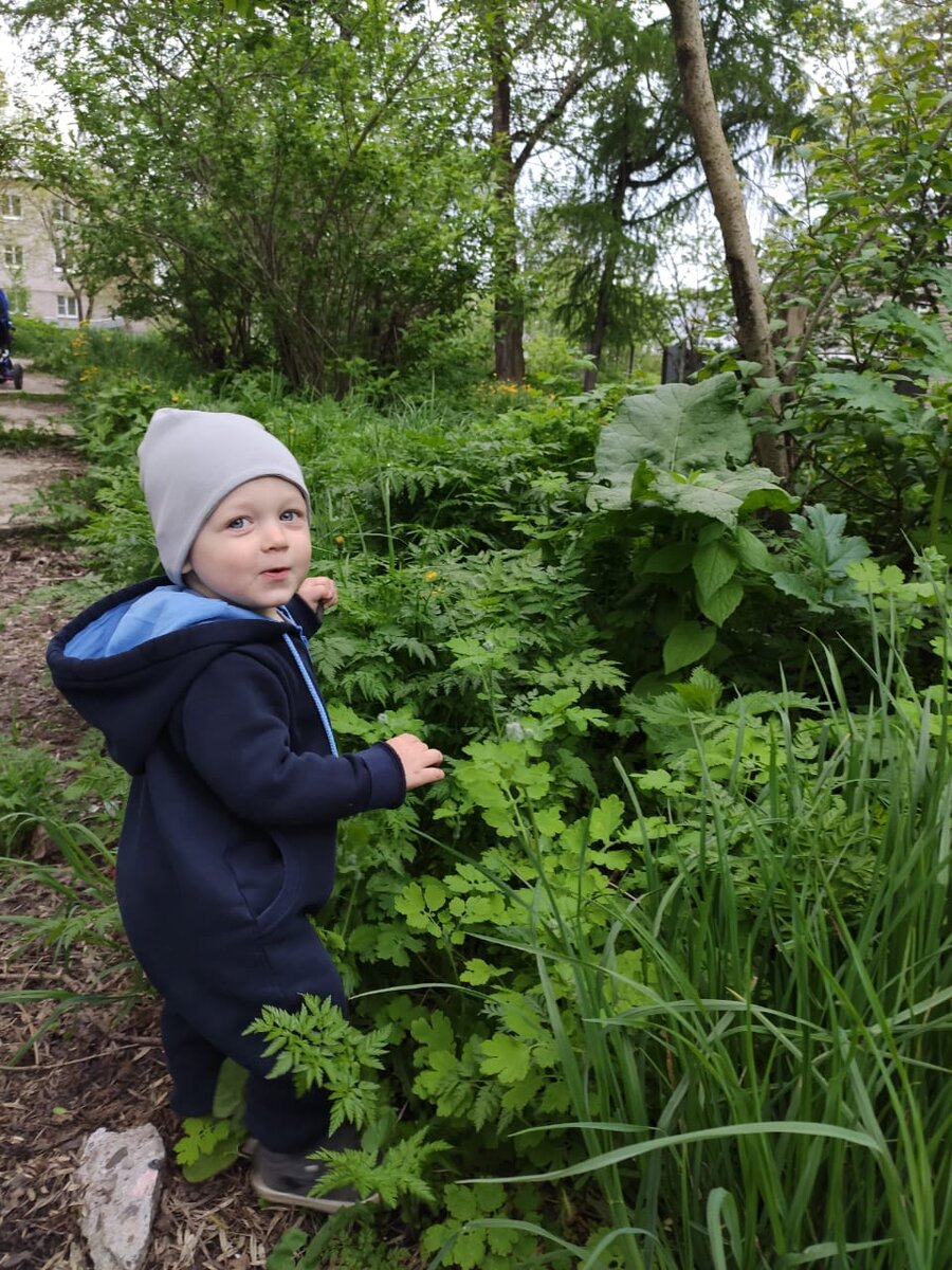 На прогулке