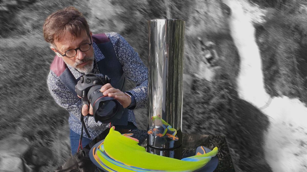 Джонти Гурвиц - ПУРА ВИДА: Красноглазая древесная лягушка.