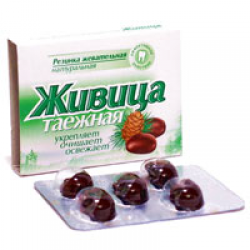 Смоляная жвачка "Живица"