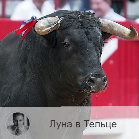 Подписывайтесь на наш канал, друзья!
Луна в знаке зодиака Телец с 00:19 31-ого по 12:59 2-ого. 👥 Прохождение Луны по знаку Тельца действует на всех умиротворяющим образом: мы становимся спокойнее, внимательнее, проникновеннее, мягче. В этот период мы лучше понимаем суть вещей, лучше чувствуем то, что необходимо, больше восприимчивы к музыке и искусству, к вкусу и краскам жизни, к своему телу.
✅ Это время подходит для отдыха, культурного времяпрепровождения. Будут хорошо идти те дела, где нужно сосредоточится, серьезно все обдумать и взвесить, докопаться до сути, но не те, где требуется быстрое принятие решений. Наступил благоприятный период для реализации в своем хобби, ваш талант раскроется максимально, вы получите удовольствие как от процесса, так и от результата. В этот период рекомендуется укреплять свое социальное и материальное положение, вкладывать деньги, заниматься физическим трудом, покупать вещи длительного пользования (например, мебель или недвижимость), отдыхать на природе, заниматься своим здоровьем, делать массаж и посещать спа-процедуры.
❤️ Это время благоприятно для укрепления дружеских связей.
💊 Телец вызывает напряжение в области шеи, горла.

—————
Думаешь, как сложится судьба?
Олег Персидский знает ответ, переходи по ссылке ⇨ numeromagic.ru/uslugi