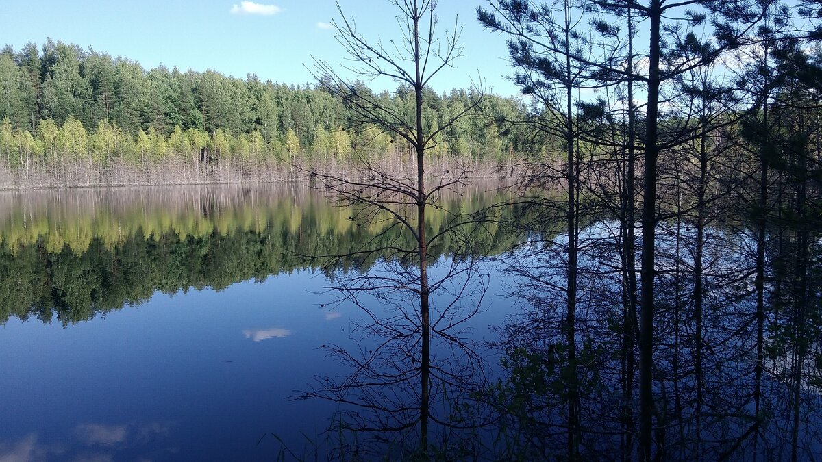 В Новгородской области находится уникальная система карстовых озёр |  Владислав Галушко | Дзен