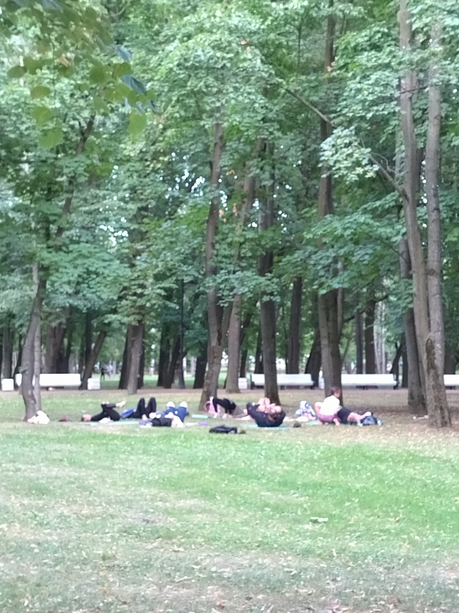 Катаясь на роликах, встретили йогов в парке) давно хочу попробовать позаниматься  на природе вот так