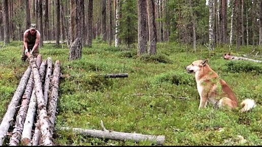 Тропа дзен. Леха Таежная тропа. Таежная тропа Алексей. Таёжная тропа лёха новый выпуск. Балаган Таежная тропа.