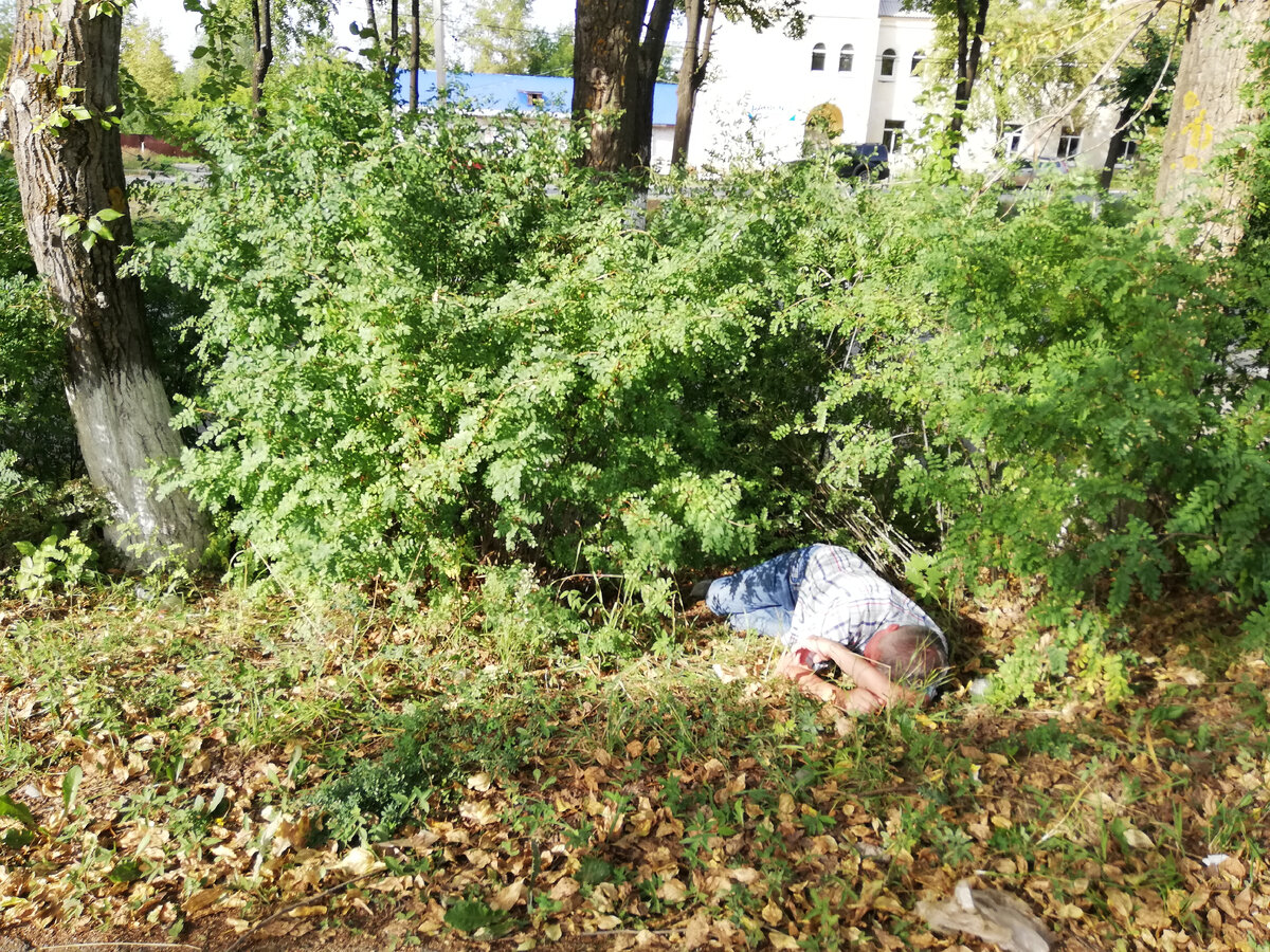 Из открытого источника