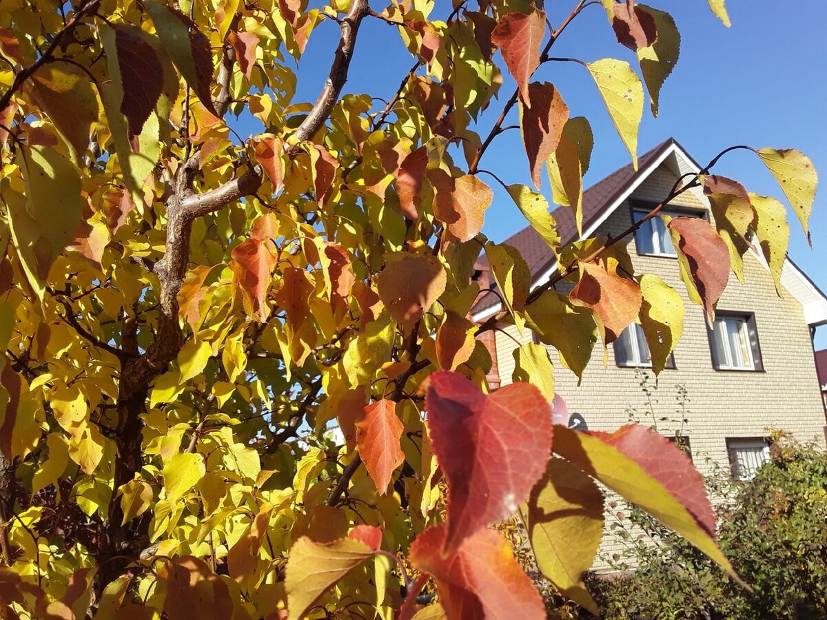 Садовый дом площадью 102 квадратных метра