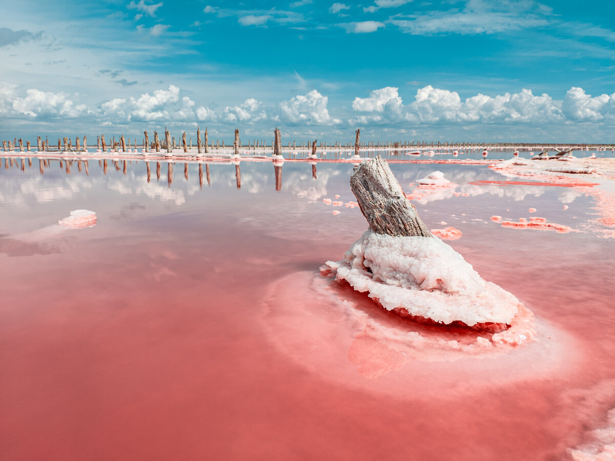 Так выглядят соляные озера перед самым сбором урожая. Фото Михаил Лето