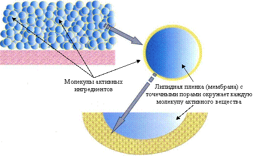 Источник изображения: www.pleyana.com