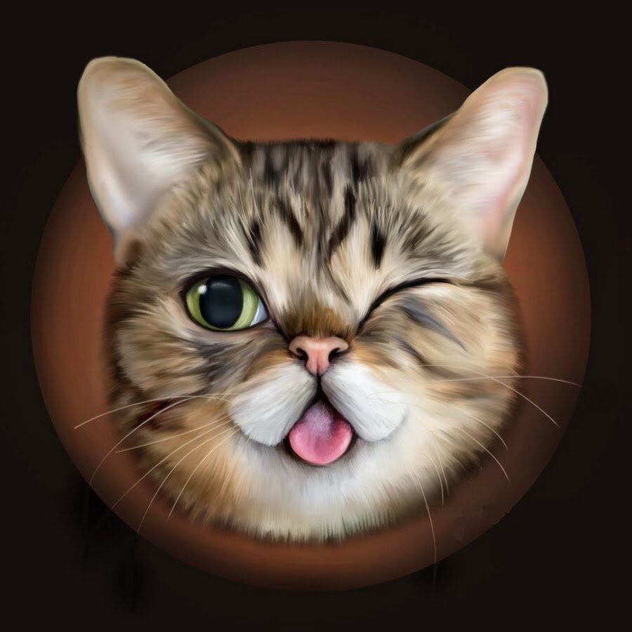 Подмигивающий кот картинки