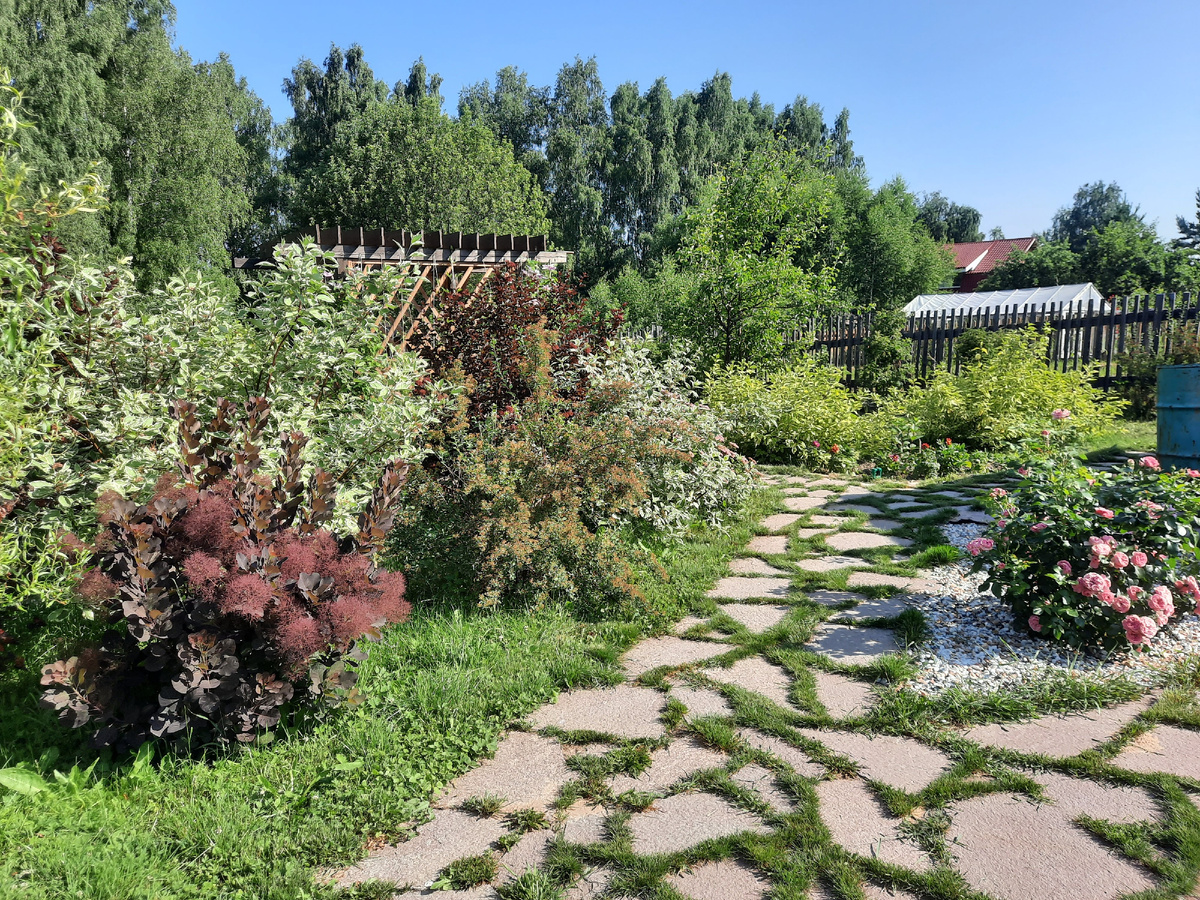 Миксбордер из кустарников. с. Владимирское Воскресенского района, Нижегородская область. Источник: личная галерея