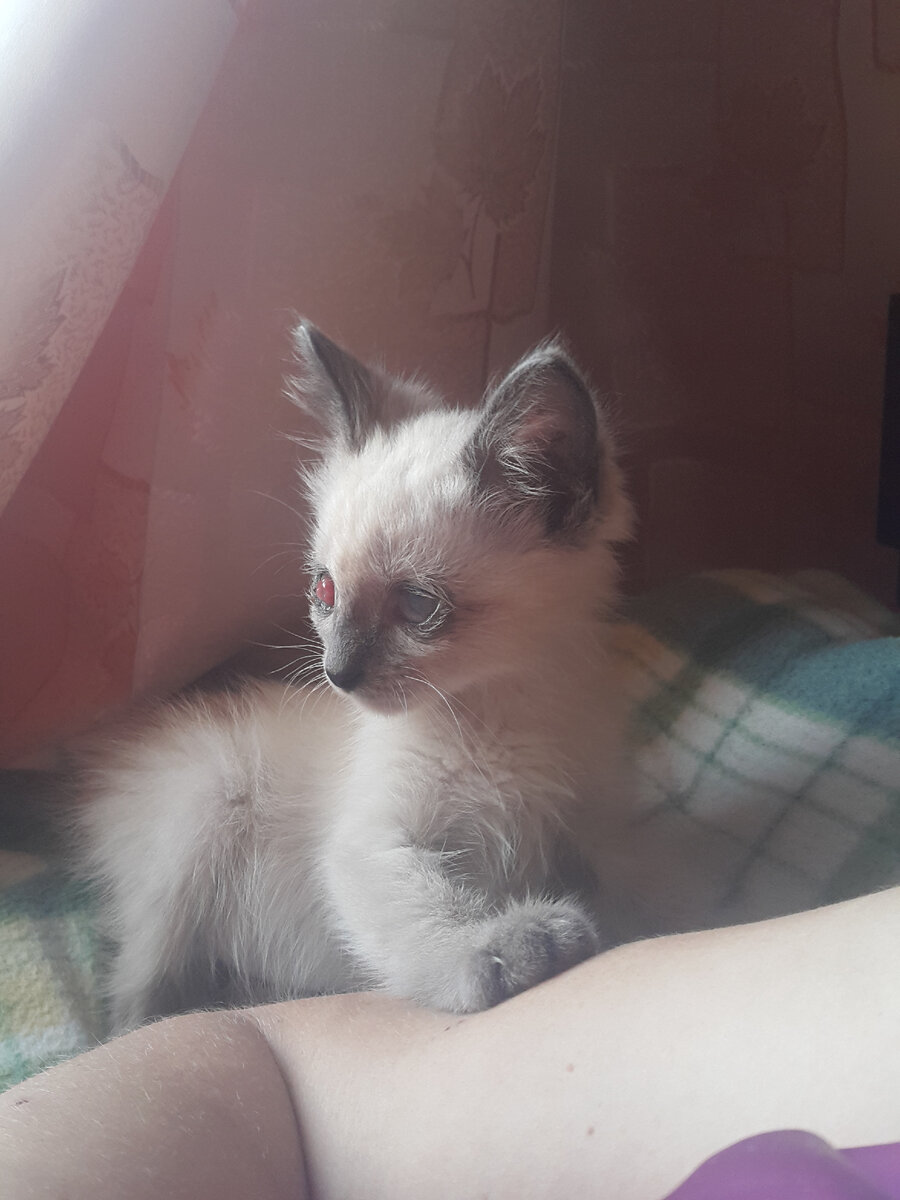 Фото из личного архива