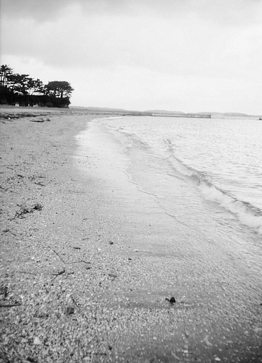                                              Пример снимка на Ricoh Auto Half