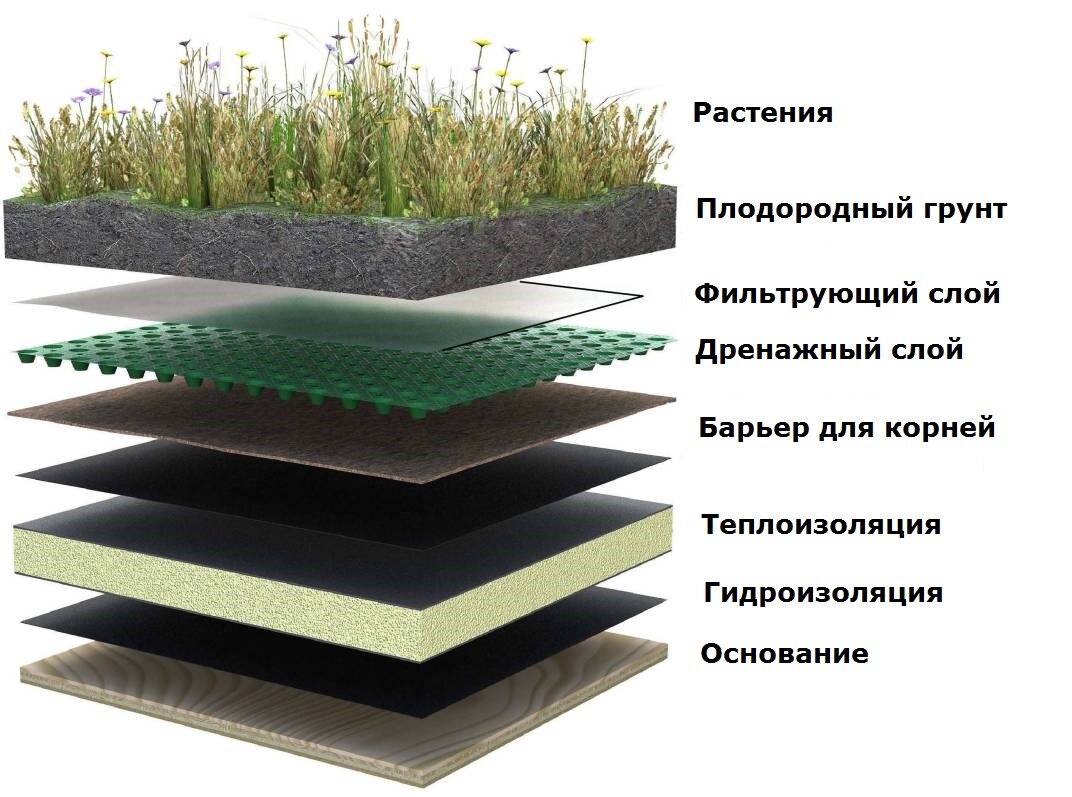 Яндекс картинки 