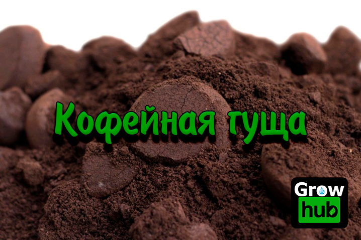 Кофейная гуща как удобрение