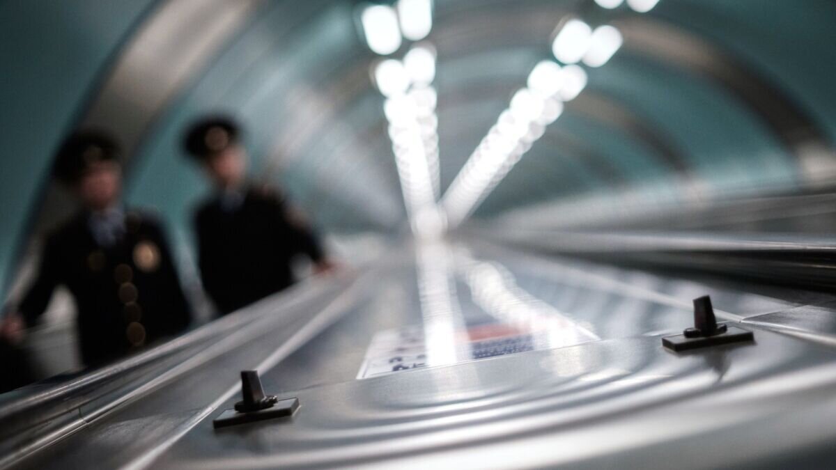    Траволатор© РИА Новости / Алексей Даничев