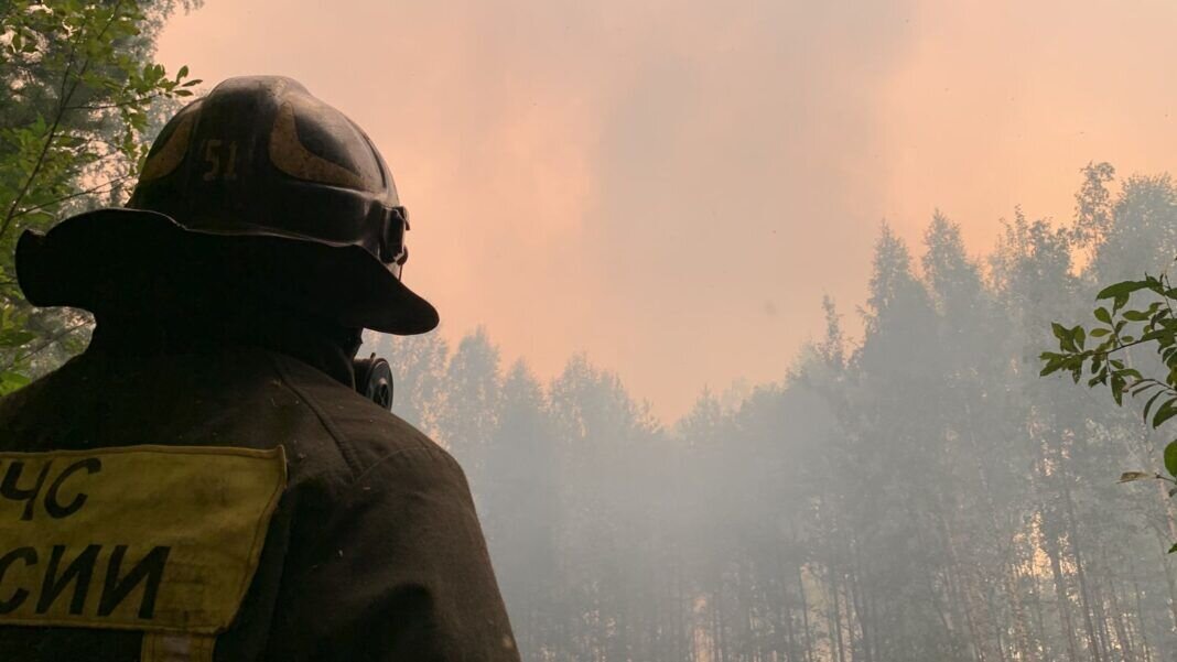    Фото МЧС Рязанской области