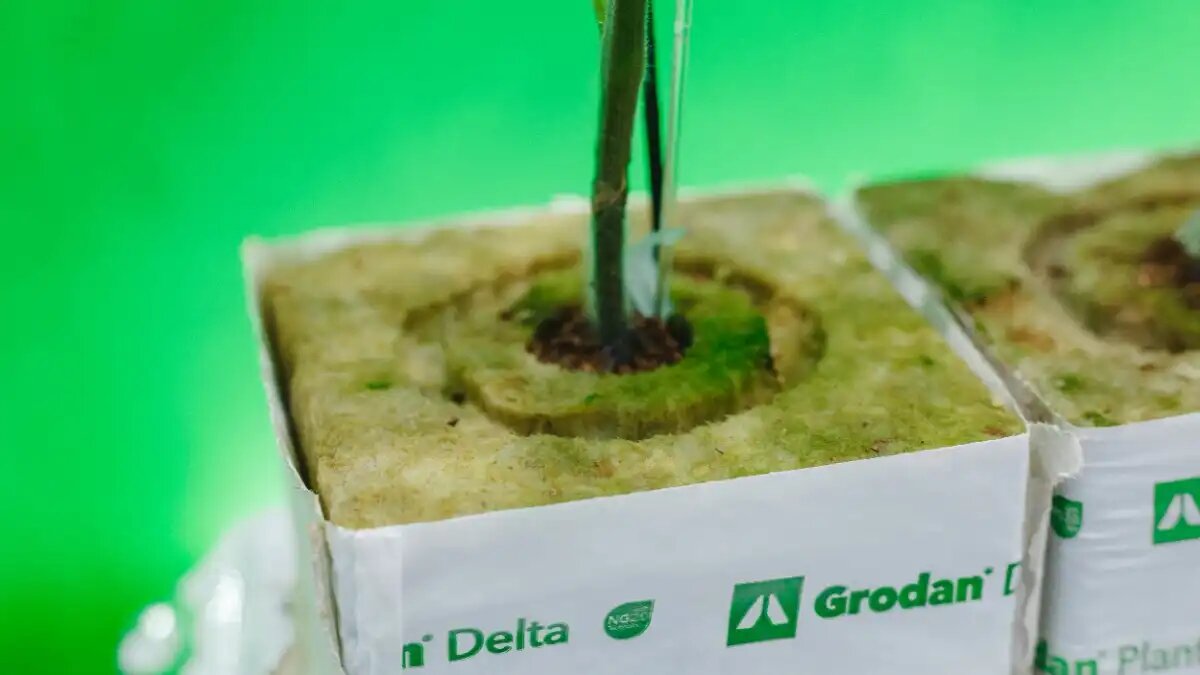 Фото:пресс-служба Rockwool