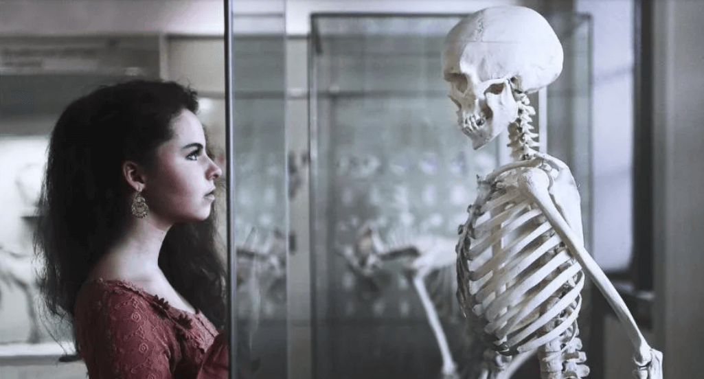    Кости человека на самом деле коричневые, а белыми они становятся только после определенной обработки