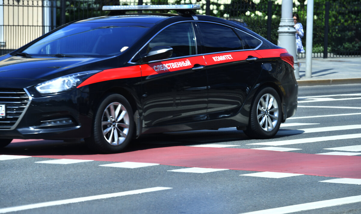 ФОТО: Баранов Владимир/Globallookpress 