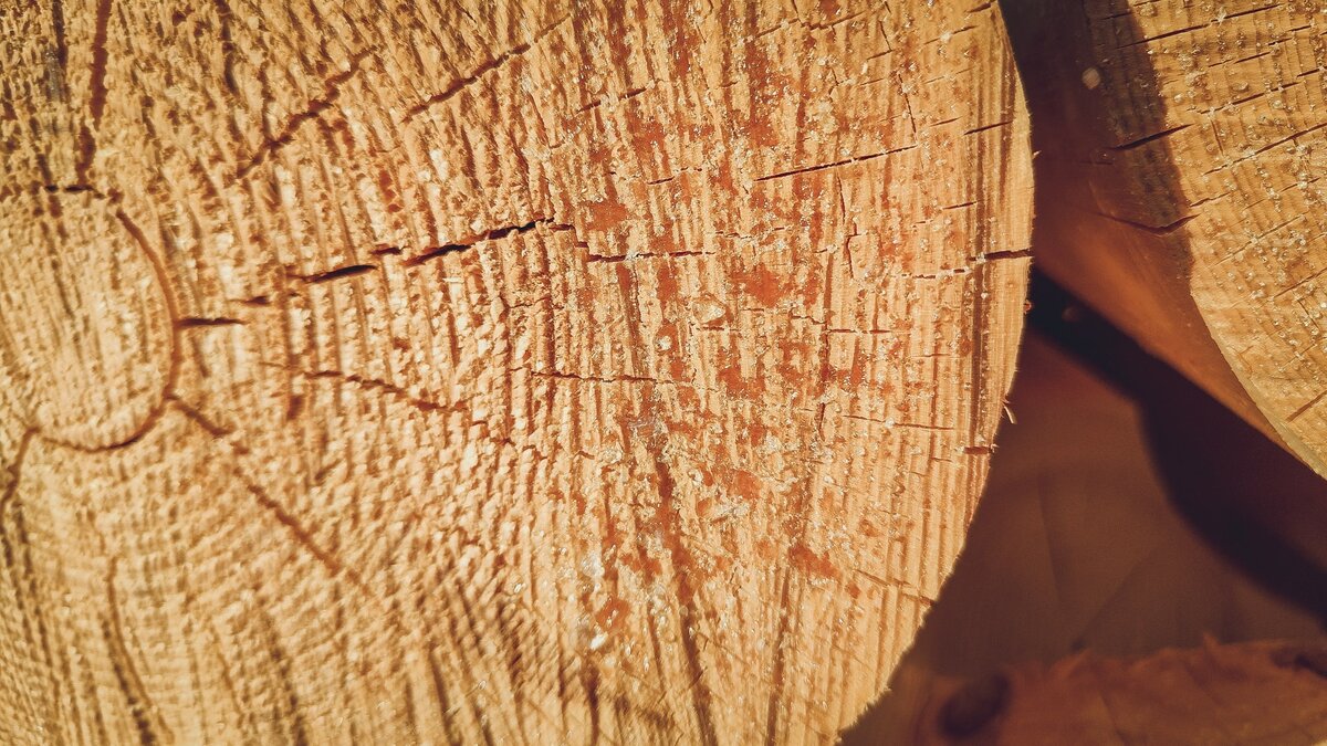     Компания «Тумнинский прииск», став новым резидентом территории опережающего развития (ТОР) «Хабаровск», планирует создать центр глубокой переработки леса, который будет специализироваться на производстве продукции с высокой добавленной стоимостью.