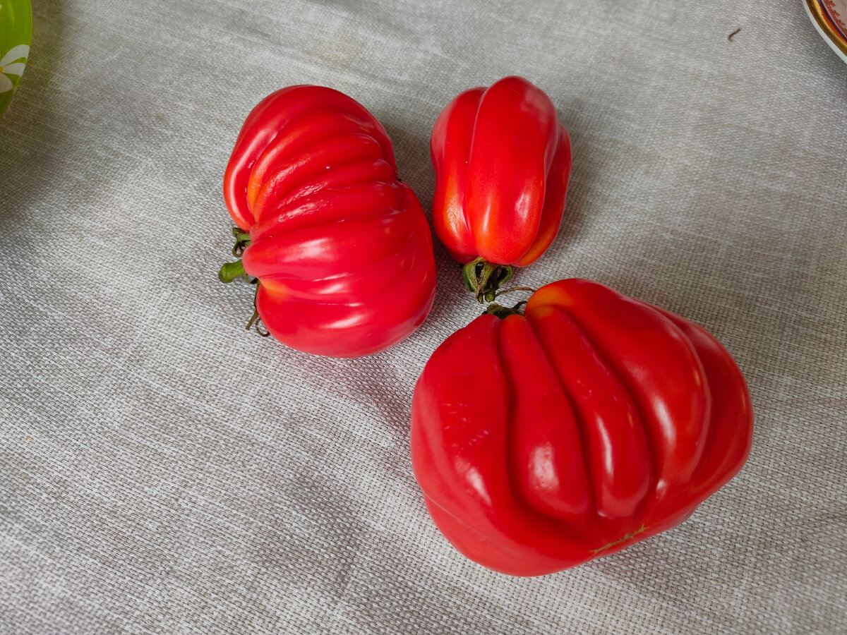 Томат Древнее сердце Пианфей 