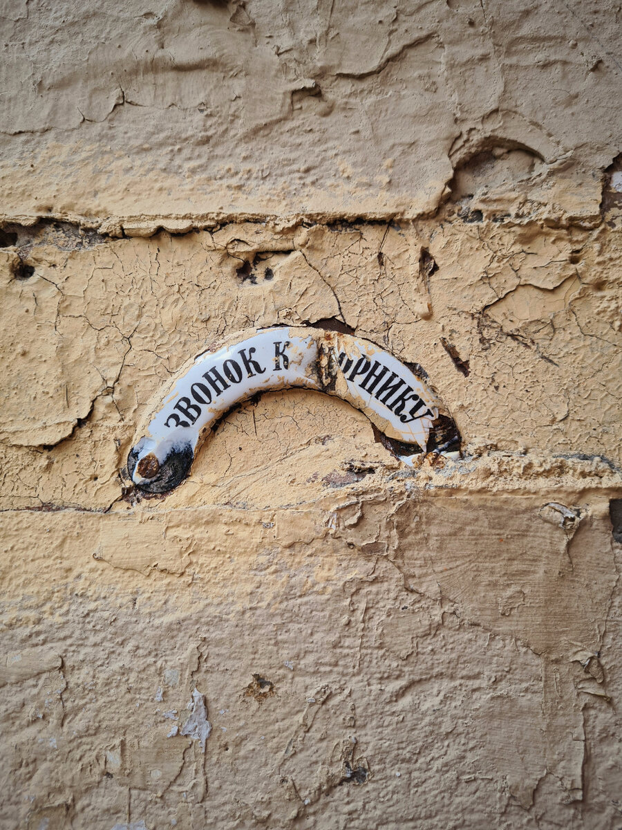 Фото: Парадная гостья