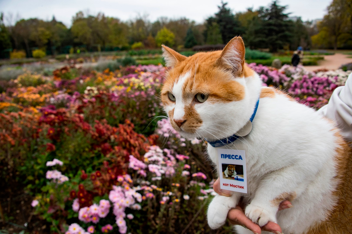 Цветочный оазис в центре парка.