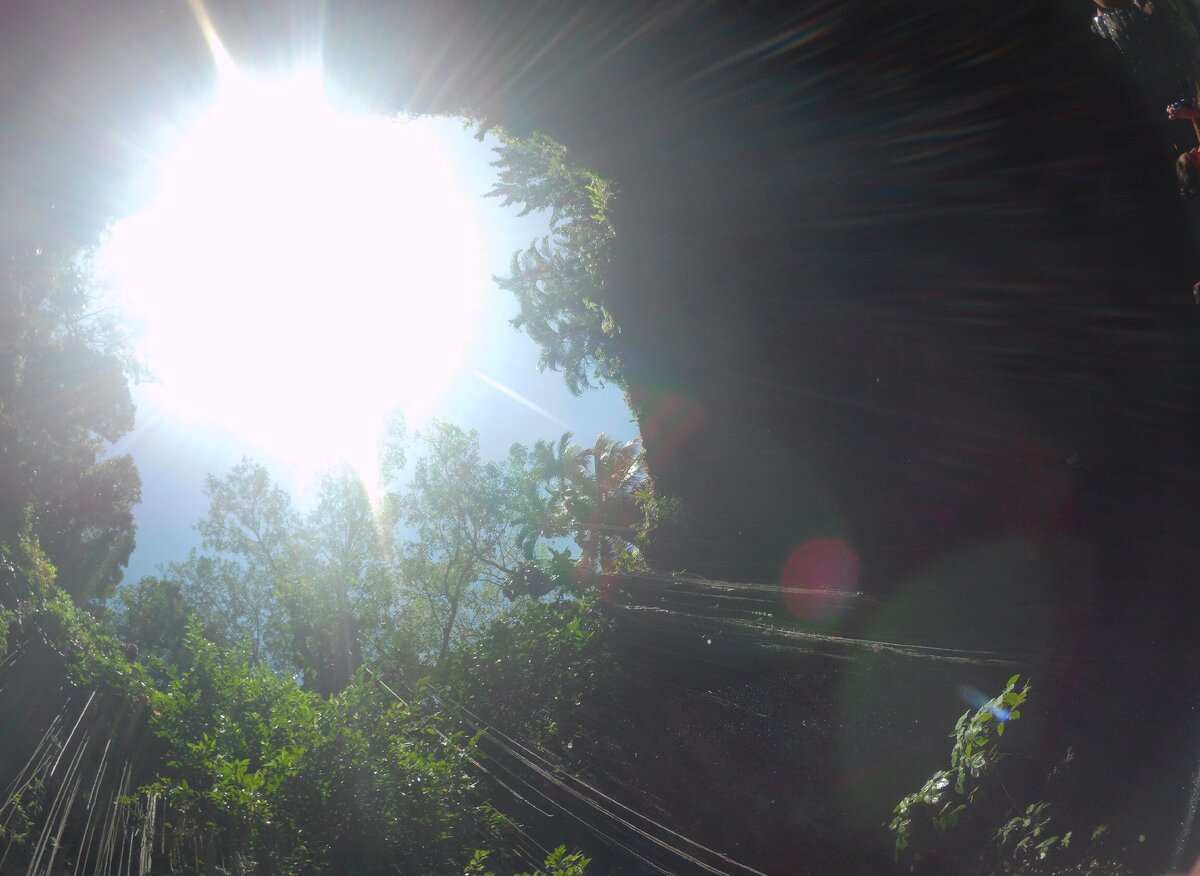 Внутри сенота Ик-Киль (вход в комплекс 250 рублей)