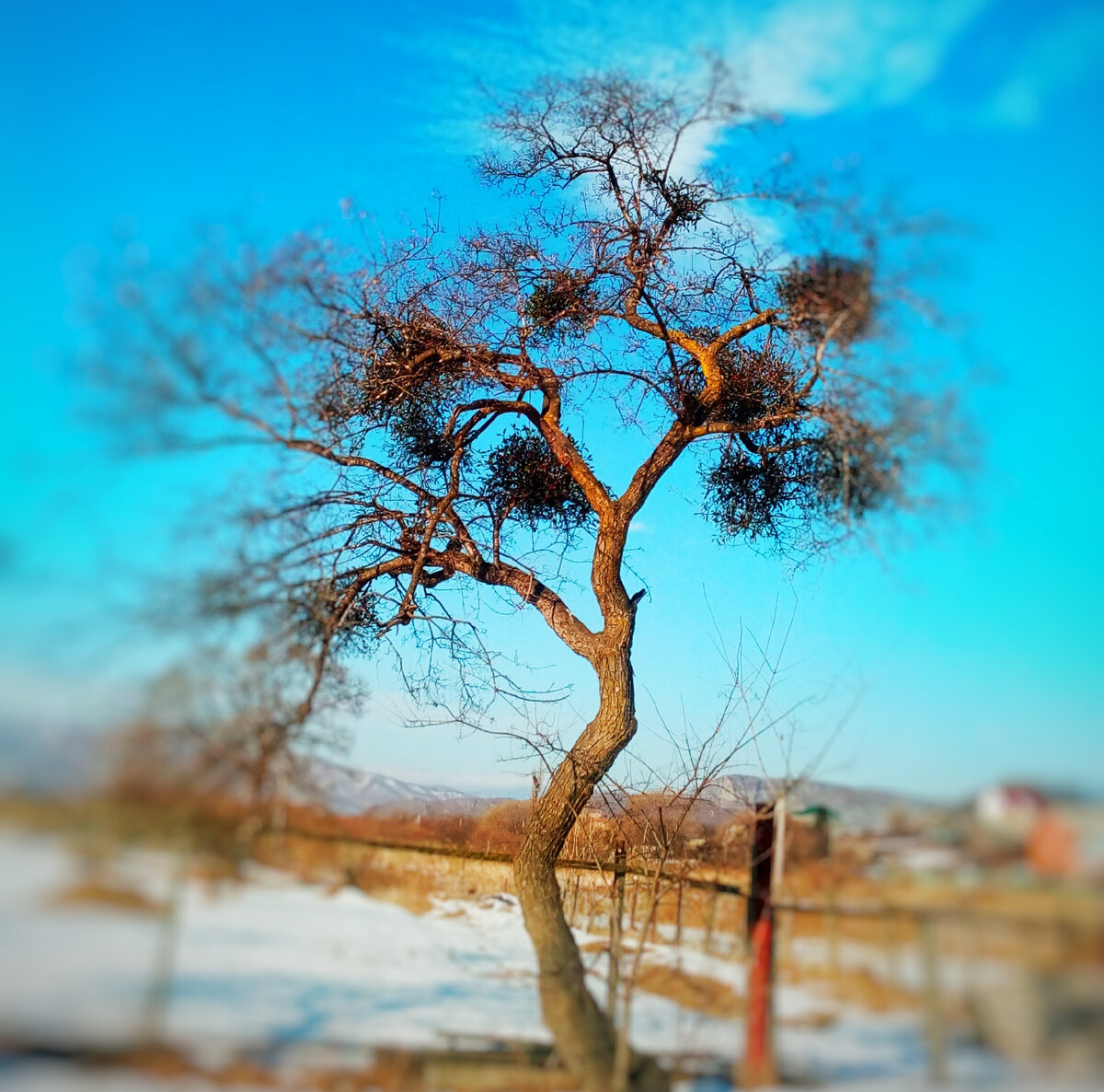 Весна спешит к нам и приказывает больше снимать фото и видео!