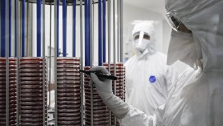 © РИА Новости / Михаил КиреевПерейти в фотобанкМожно ли умереть в России от инфекции, вызванной супербактерией?Согласно выводам специалистов, грибок вскоре может превратиться в подобие устойчивых к антибиотикам "супербактерий" и приобрести невосприимчивость к противогрибковым препаратам, которыми нередко злоупотребляют в медицине и сельском хозяйстве. В частности, этому способствует регулярное применение препаратов для лечения грибкового стоматита, эпидермофитии стоп, дерматофитии и онихомикоза.