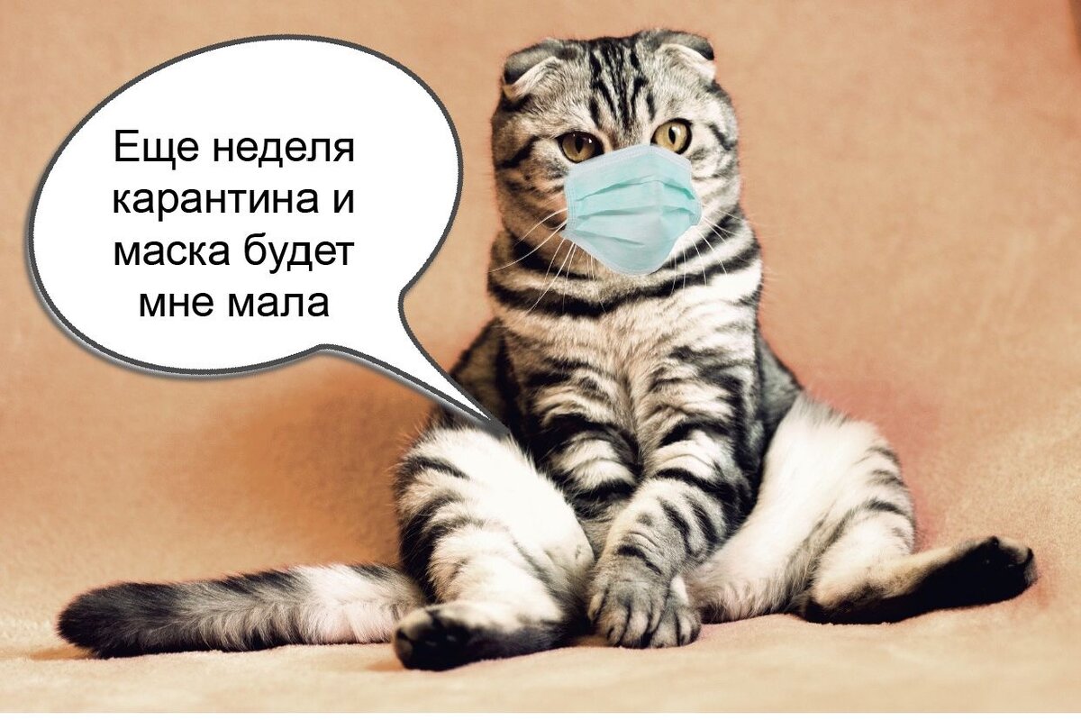 Кто-нибудь занимается дома фитнесом хотя бы 15 мин в день, признавайтесь? 😃